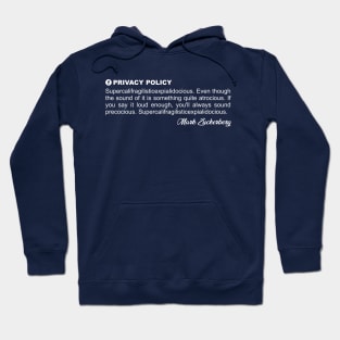 Privacy Policy Hoodie